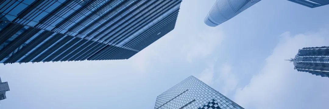 中国工程承包企业海外经营风险案例实战剖析